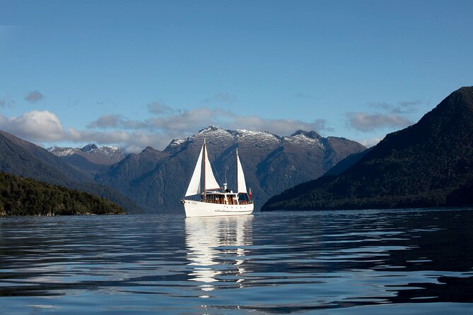 Te Anau Glow Worm Caves Tour - Timing, group size, and the practical value