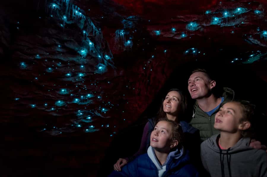 Te Anau: Glowworm Caves Guided Tour - Key points to know before you go