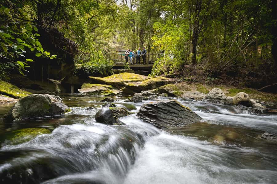 Te Anau: Glowworm Caves Guided Tour - The small boat ride into total darkness
