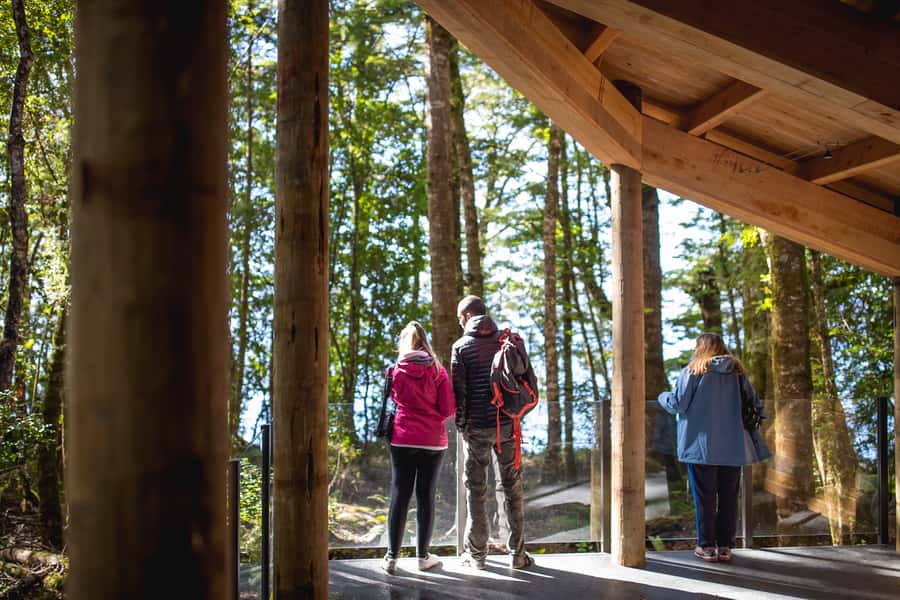 Te Anau: Glowworm Caves Guided Tour - What the guide adds to the experience