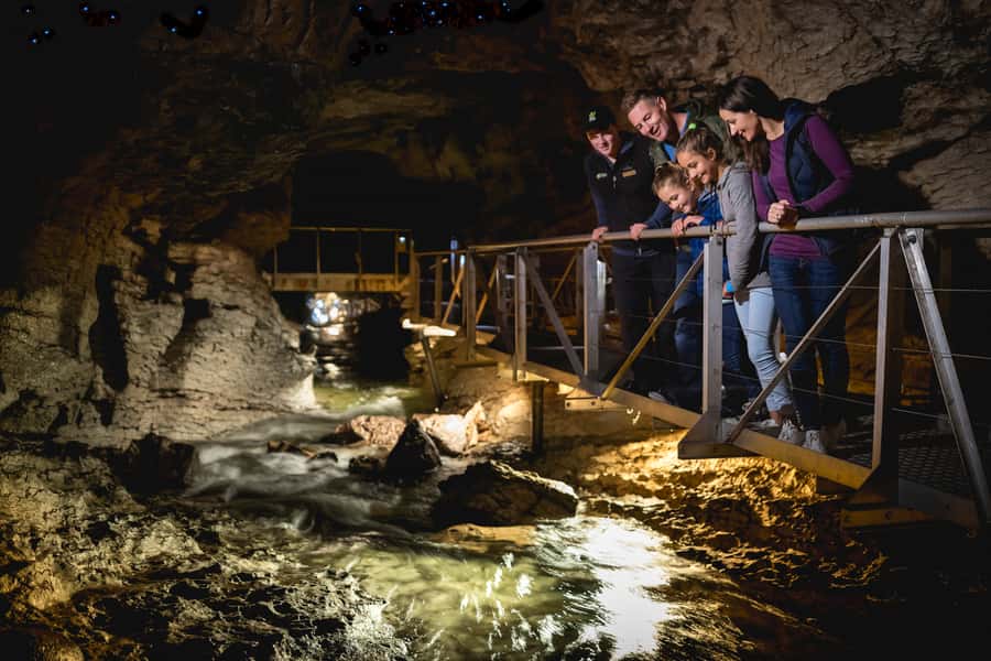 Te Anau: Glowworm Caves Guided Tour - Timing, price, and what the $77 includes
