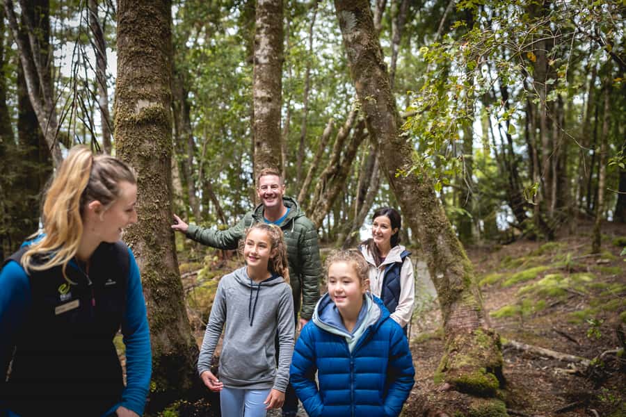 Te Anau: Glowworm Caves Guided Tour - Should you book the Te Anau Glowworm Caves?