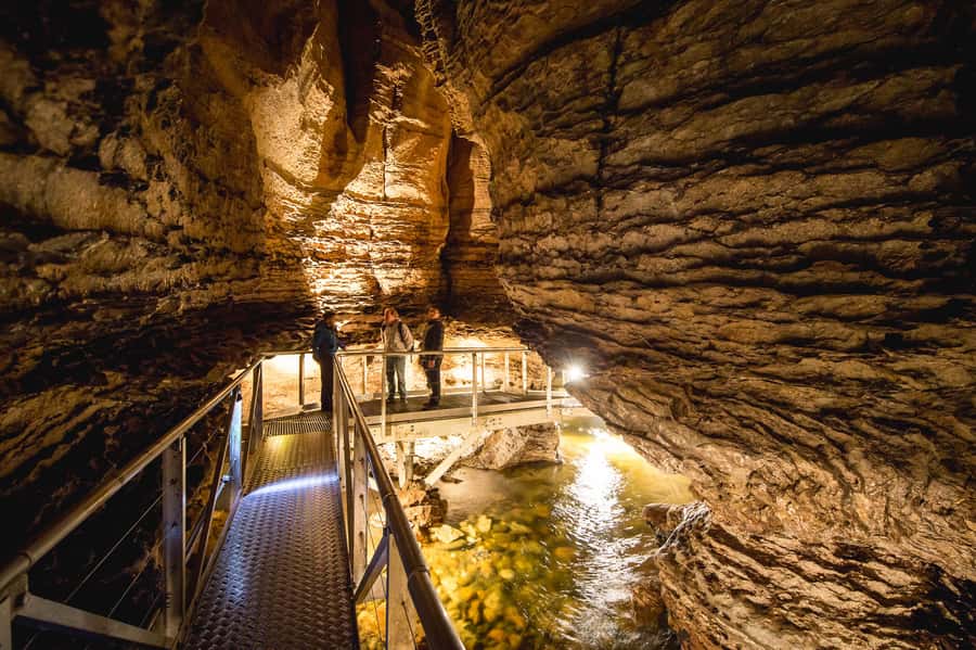 Te Anau: Glowworm Caves Guided Tour - Cavern House and the short cave briefing