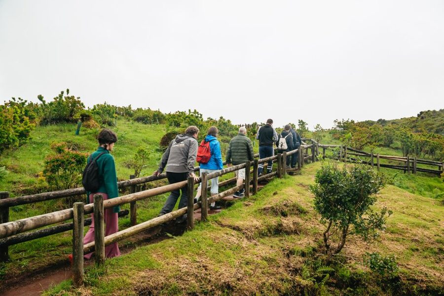 Terceira: Algar do Carvão Lava Caves Tour - Entering Algar do Carvão, Terceira’s volcanic chimney