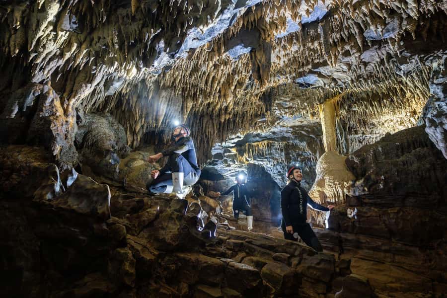 The Waitomo Experience : Okohua Glowworm Cave Tour - Walking, wading, and climbing through Okohua Cave