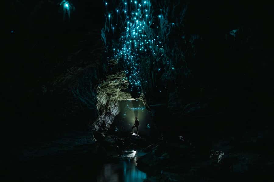 The Waitomo Experience : Okohua Glowworm Cave Tour - Black water rafting beneath the glowworms