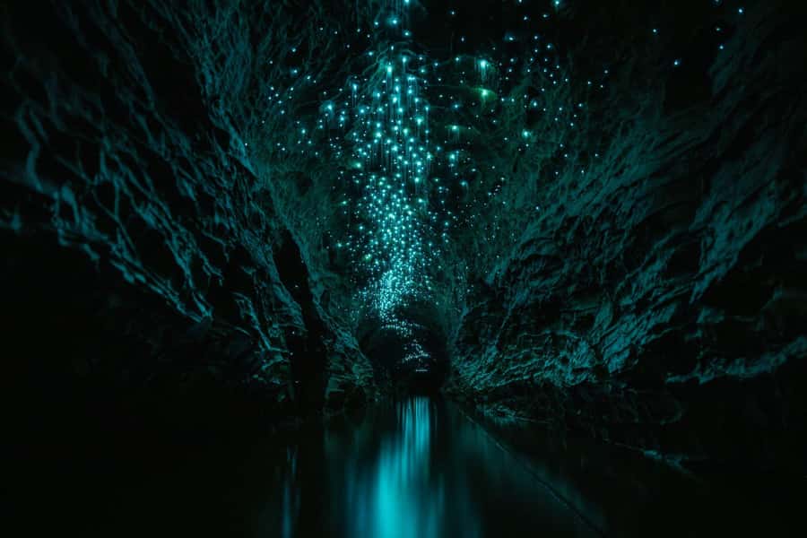 The Waitomo Experience : Okohua Glowworm Cave Tour - Who will enjoy this most?
