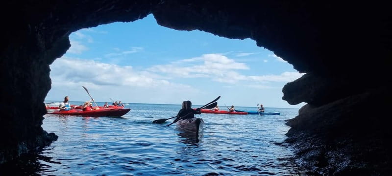 Torquay: Guided Wildlife, Bushcraft, Sea Cave Kayak Safari - What this Torquay kayak safari is really like