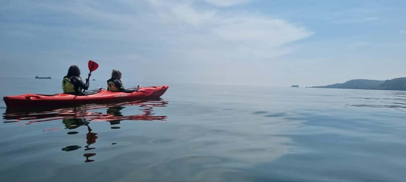 Torquay: Guided Wildlife, Bushcraft, Sea Cave Kayak Safari - Caves, cliffs, and the English Riviera Geopark