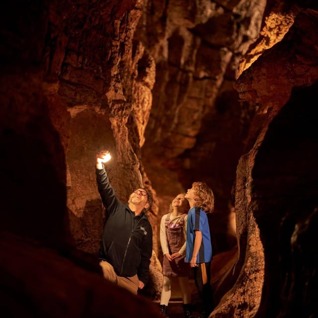 Torquay: Kents Cavern Prehistoric Cave - Who will enjoy this, and who should think twice