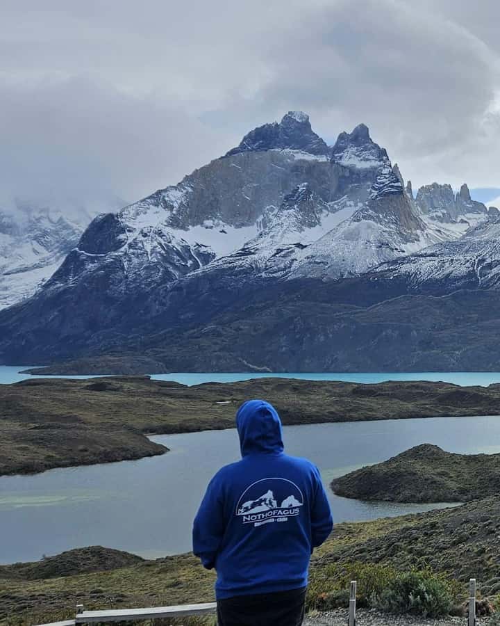 Torres del Paine: Full Day Excursion Torres del Paine + Milodon Cave. - Why this day trip works for first-time visitors
