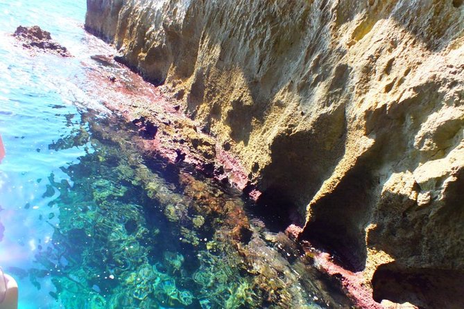 Tour of the island of Ortigia and exploration of sea caves with baths. - Is $24.19 good value?