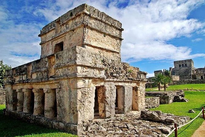 Tulum, Coba, Cenote & Playa Del Carmen! Full Mayan Experience - Coba: the wooded site that may be the day’s surprise