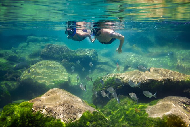 Tulum Guided Tour, Magical Cenote, Lagoon Snorkeling and Beachside Lunch - What to pack for comfort and safety