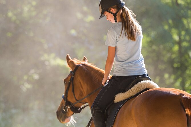 Tulum Jungle Horseback Ride + ATV + Ziplines + Cenote Combo Tour - Getting there from Tulum without a hotel pickup