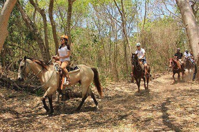 Tulum Jungle Horseback Ride + ATV + Ziplines + Cenote Combo Tour - Four ziplines, including a very long final run