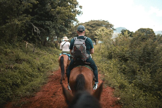 Tulum Jungle Horseback Ride + ATV + Ziplines + Cenote Combo Tour - Horseback riding is the least consistent activity