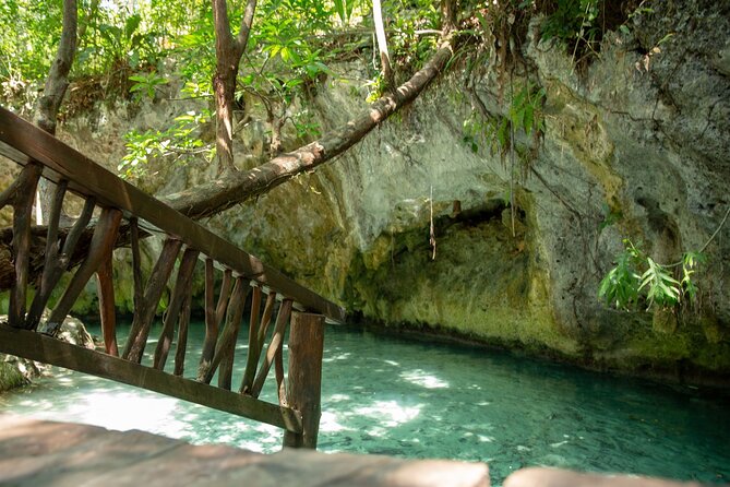 Tulum Ruins and Cenote Guided Tour, from Cancun - Cenote Mariposa: a cool finish after the ruins
