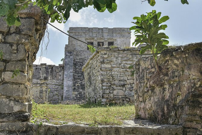 Tulum Ruins, Turtles in Akumal and Cenote tour - Why this day works so well