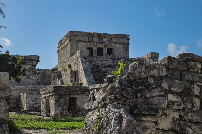 Tulum Ruins, Turtles in Akumal and Cenote tour - Akumal and the turtle swim