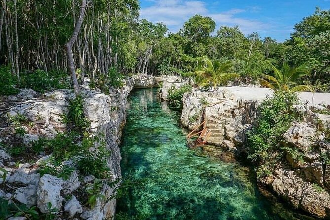 Tulum Ruins visit cenotes house turtle and Sculpture Come to Light - Timing, transport, and the small details that matter