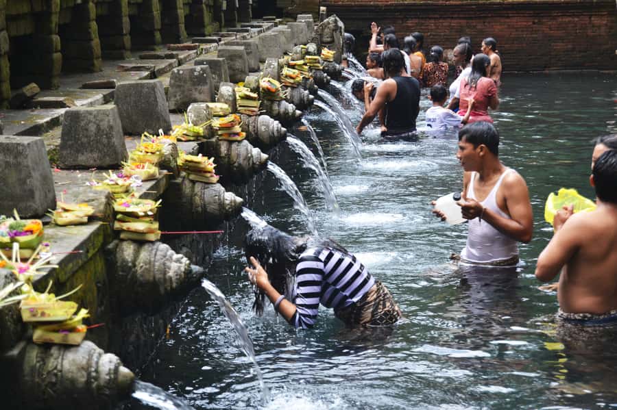Ubud: Rice Terrace, Waterfall, & Elephant Cave - A full day of central Bali for $43