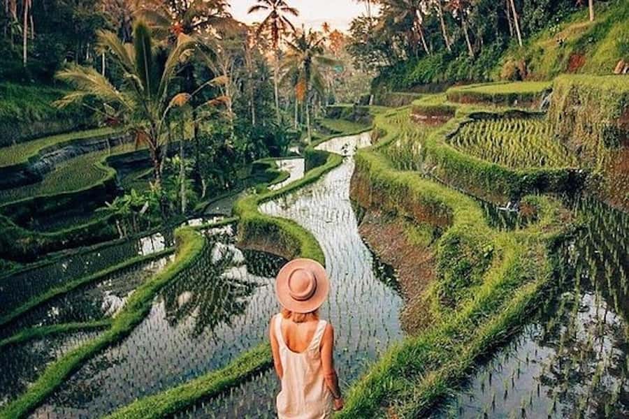 Ubud: Rice Terrace, Waterfall, & Elephant Cave - Tegalalang’s rice terraces finish the route on a high note