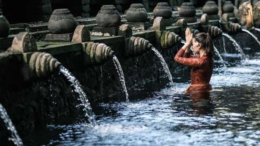 Ubud: Rice Terrace, Waterfall, & Elephant Cave - Who should book this Ubud day trip?