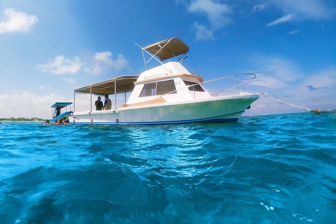 Ultimate 5x1 Combo with ATV, Ziplines, Cenote & Reef Snorkeling - Snorkeling at Puerto Morelos Reef National Park