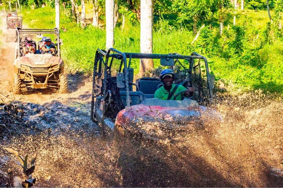 Ultimate Buggy Expedition from Punta Cana with blue cenote - Coffee, cacao, tobacco, and Mamajuana at the ranch