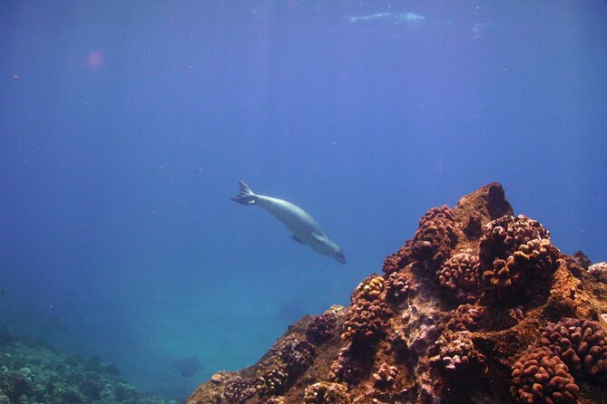 Ultimate Na Pali Coast Zodiac Boat Snorkeling and Sea Cave Tour - Snorkeling in a small group