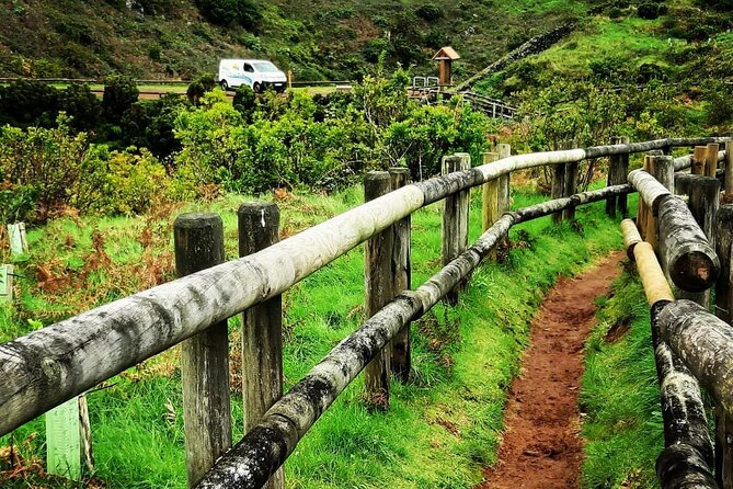 Underground Van Tour (Half Day) | Terceira Island - Algar do Carvão is closed, so Biscoitos takes its place