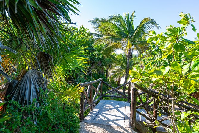 Viator Exclusive: Tulum Ruins, Reef Snorkeling, Cenote and Caves - The Cenote and Cave Stop