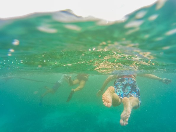 Viator Exclusive: Tulum Ruins, Reef Snorkeling, Cenote and Caves - Who Will Get the Most From This Tour?