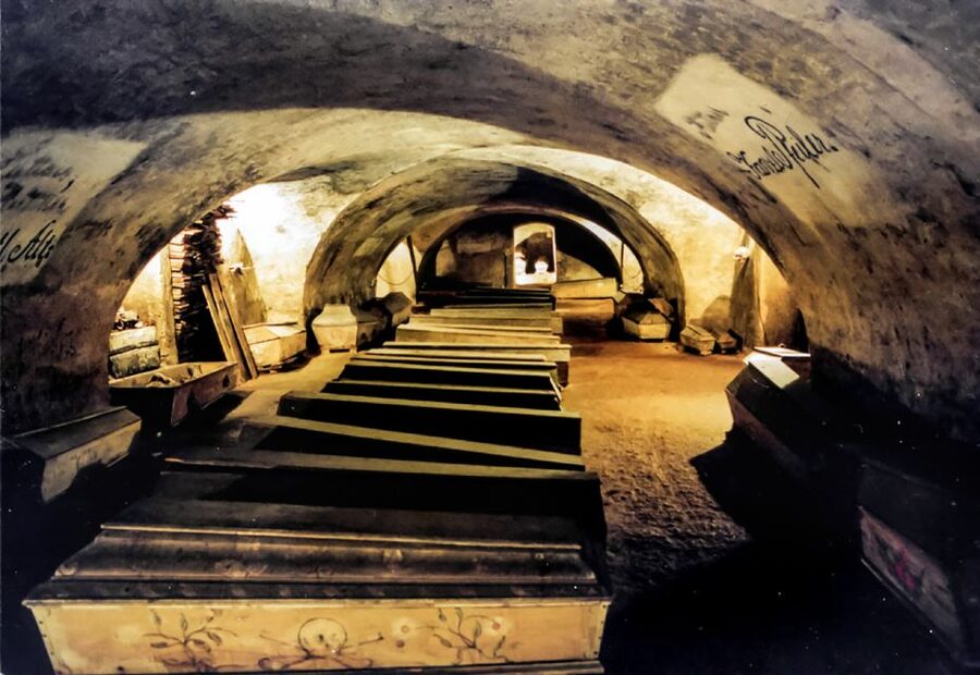 Vienna: 1.5-Hour Underground Walking Tour - German Guide, Strong Storytelling, Limited English