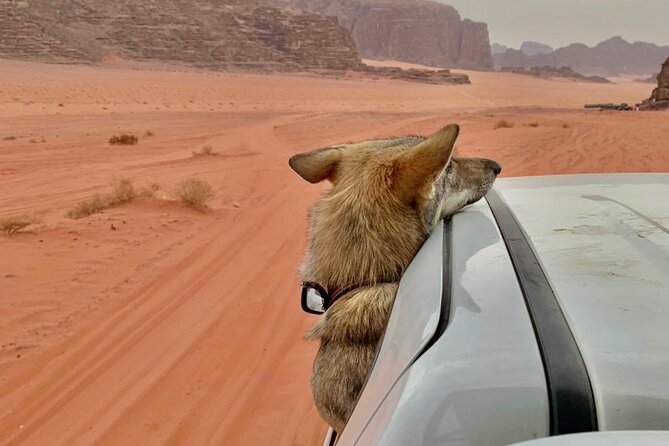Wadi Rum Cave Camping with Jeep Tour - Um Frouth Rock Bridge is the first major photo stop