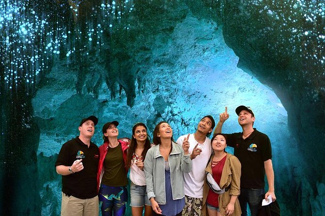 Waitomo Caves & Hobbiton Small Group Tour inc Lunch from Auckland - Is $235.20 a fair price?