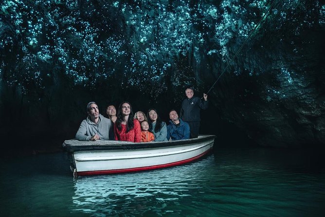 Waitomo Caves Private Driver for Tour - Final Verdict: Is the Private Waitomo Transfer Worth It?