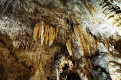 Waitomo Caves & Rotorua – Te Puia Small-Group Tour from Auckland