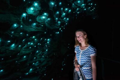 Waitomo Caves: Ruakuri Glowworm Cave Guided Walking Tour