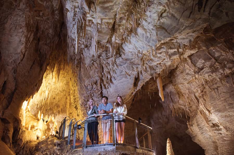 Waitomo Caves: Ruakuri Glowworm Cave Guided Walking Tour - Underground water adds sound and movement
