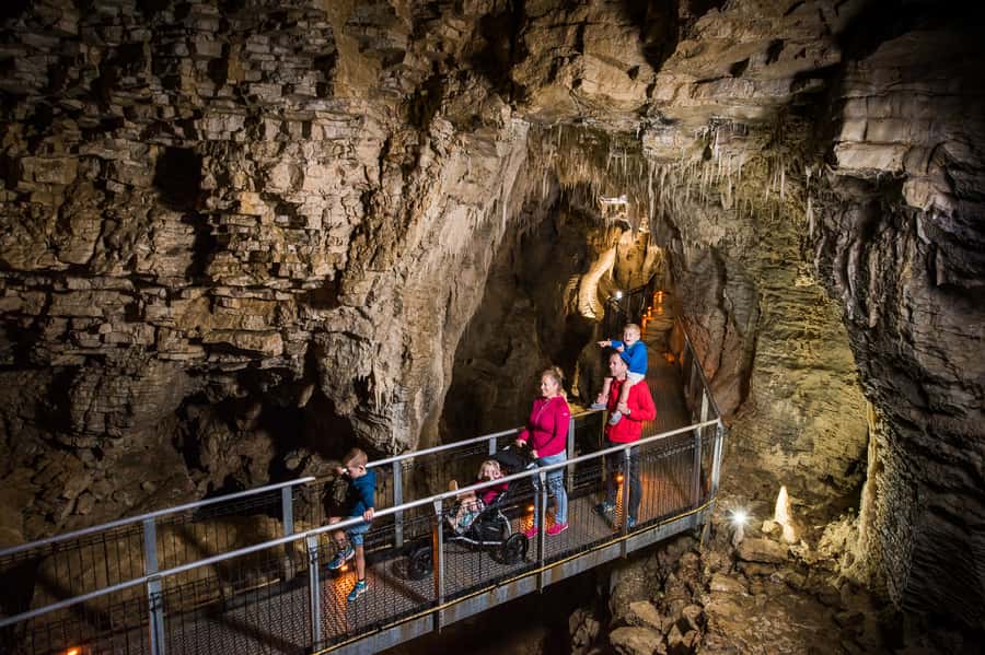 Waitomo Caves: Ruakuri Glowworm Cave Guided Walking Tour - Glowworms are best when you can get close