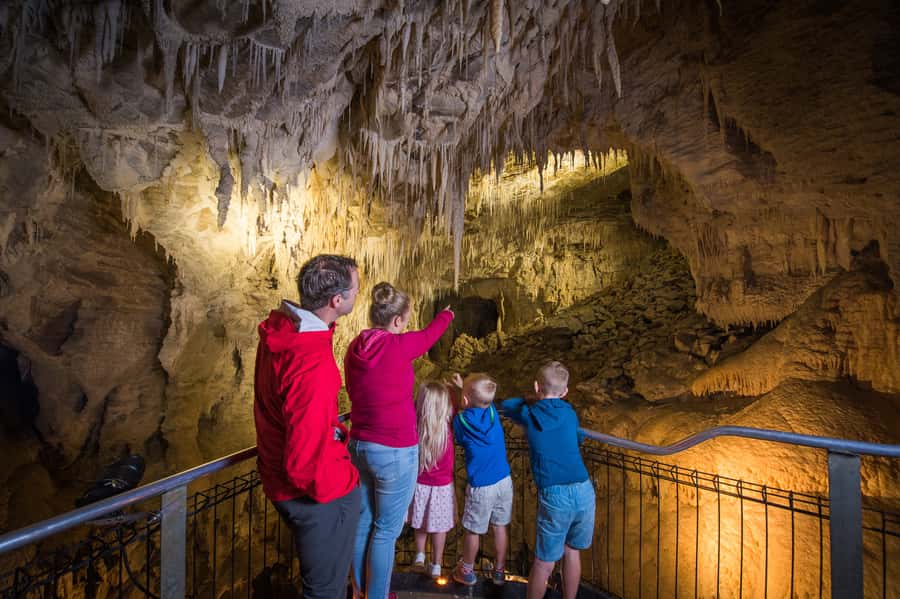 Waitomo Caves: Ruakuri Glowworm Cave Guided Walking Tour - Access is unusually good for an underground cave