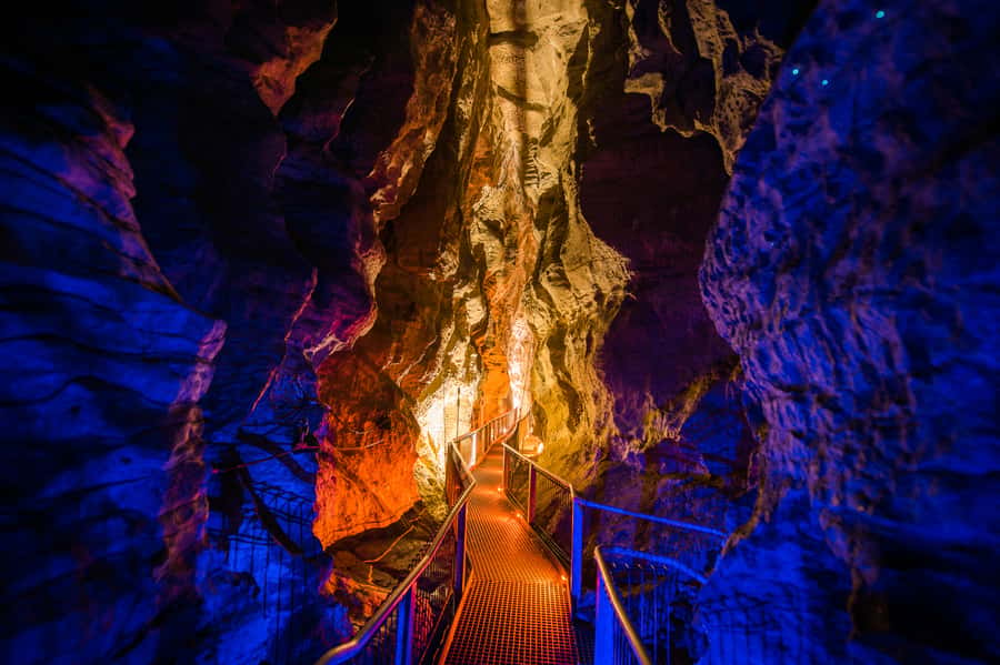 Waitomo Caves: Ruakuri Glowworm Cave Guided Walking Tour - $69 is fair if you want more than glowworms