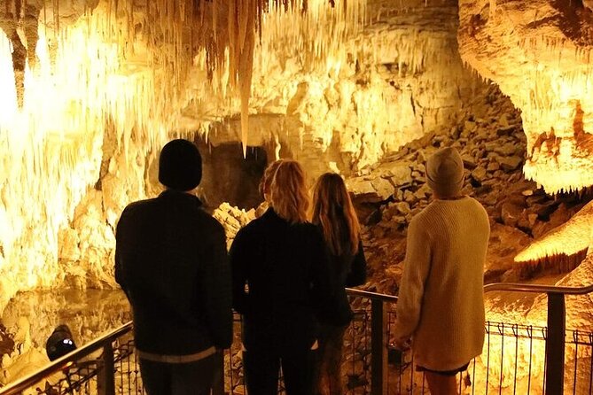 Waitomo Glow Worm Caves - Who should book this experience?