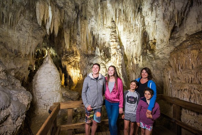 Waitomo Glowworm Caves Guided Tour - Planning your Waitomo day