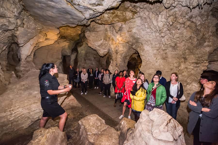 Waitomo: Glowworm Caves Guided Tour by Boat - Key points to know before booking