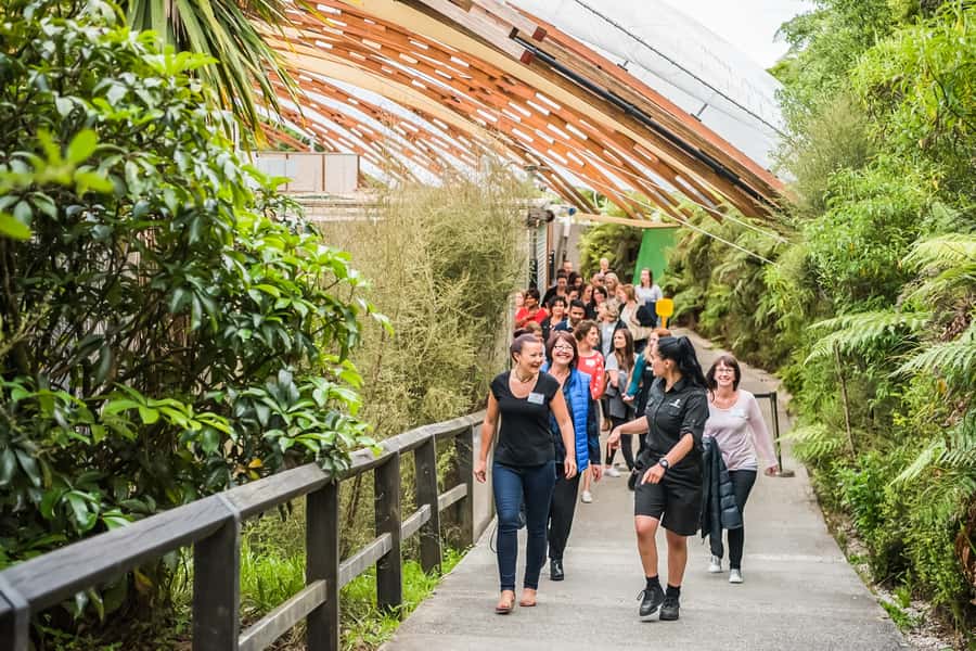 Waitomo: Glowworm Caves Guided Tour by Boat - Guides make the short visit worthwhile