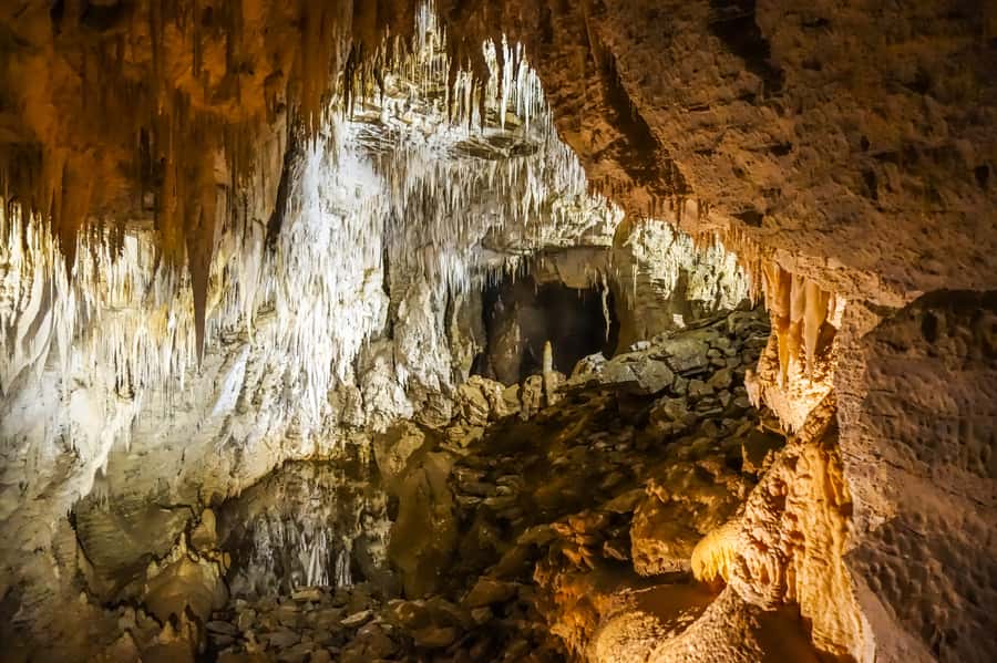 Waitomo: Glowworm Caves Guided Tour by Boat - What $48 buys you