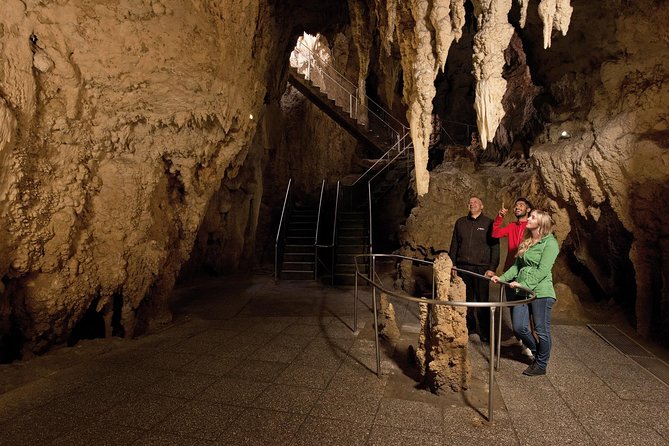 Waitomo Glowworm Caves Guided Tour - Walking through Cathedral Cave